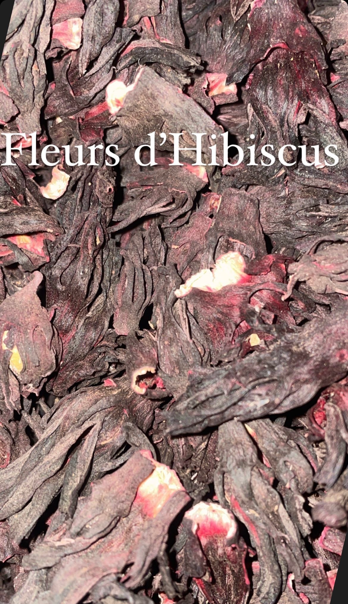 Fleurs d’hibiscus